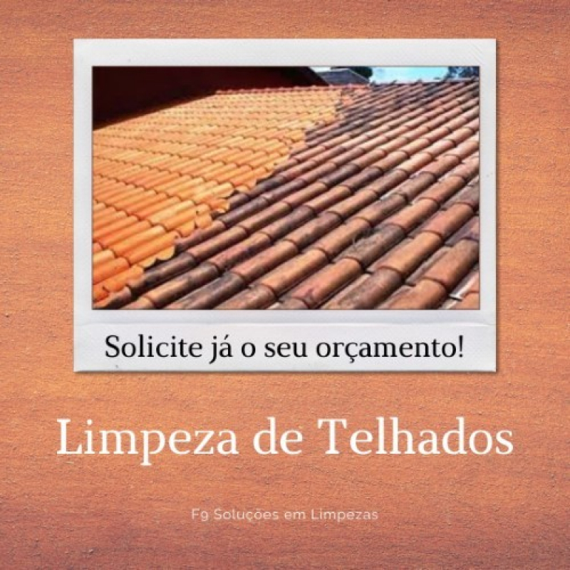 Contratação de Limpeza de Forros e Telhados Joinville - Limpeza de Telhado