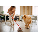 preço de serviço limpeza doméstica para apartamentos Camboriú